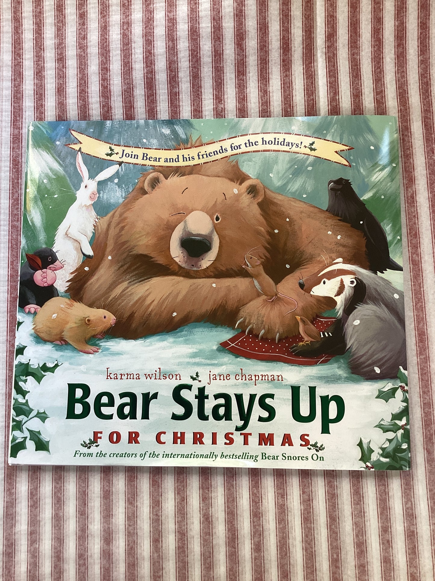 Bear Stays Up Book