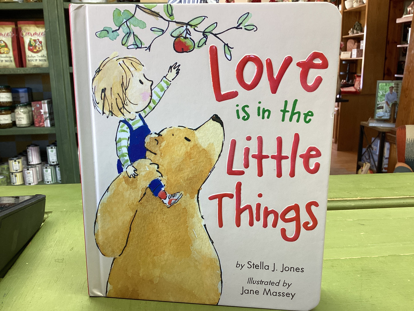 Love is in the Little Things Book