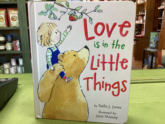 Love is in the Little Things Book