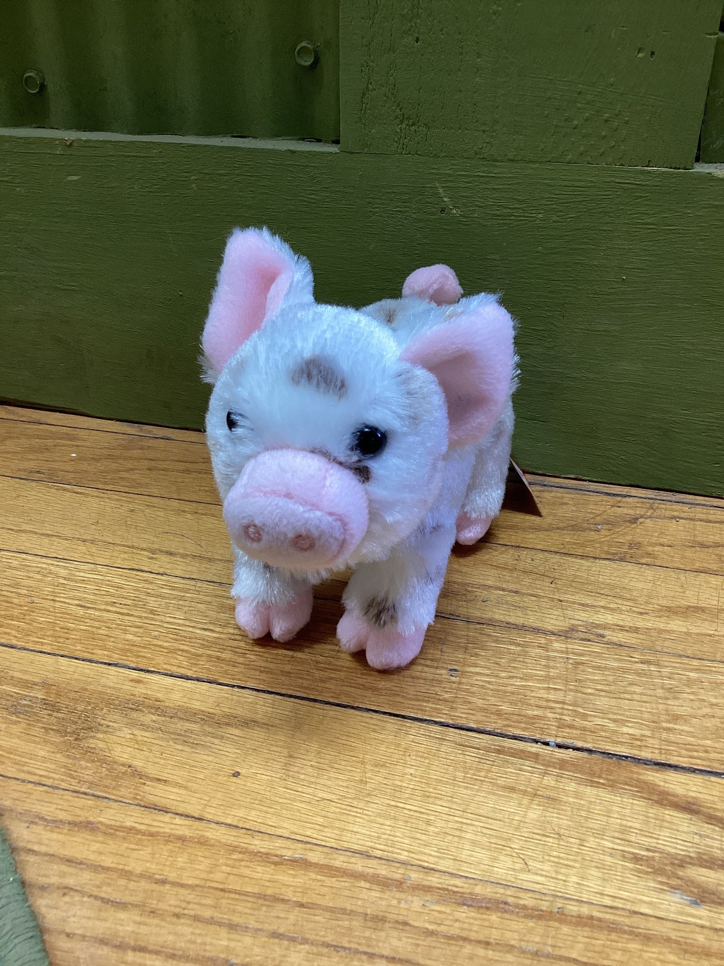 Stuffed Animals