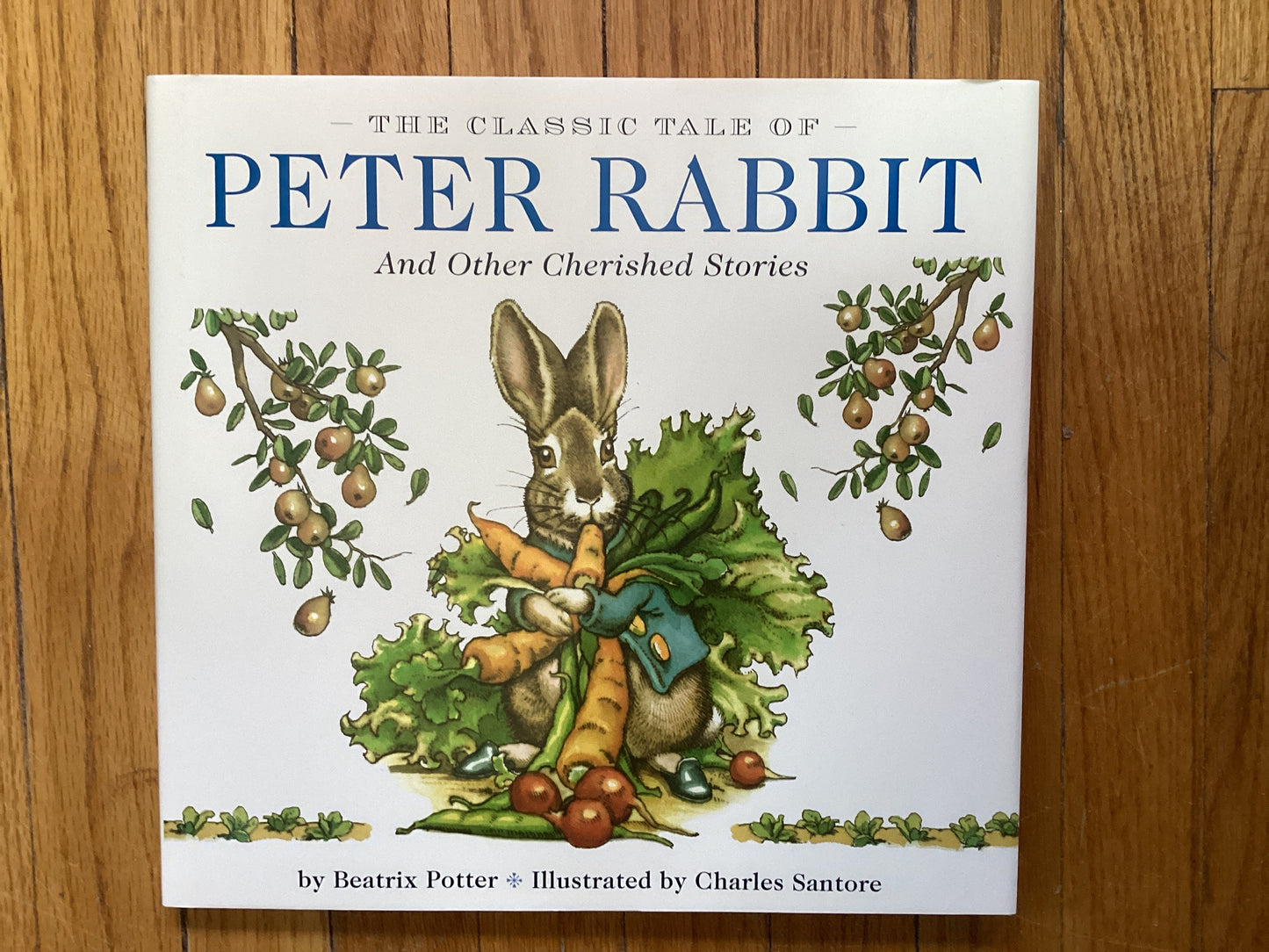 The Classic Tale of Peter Rabbit Book