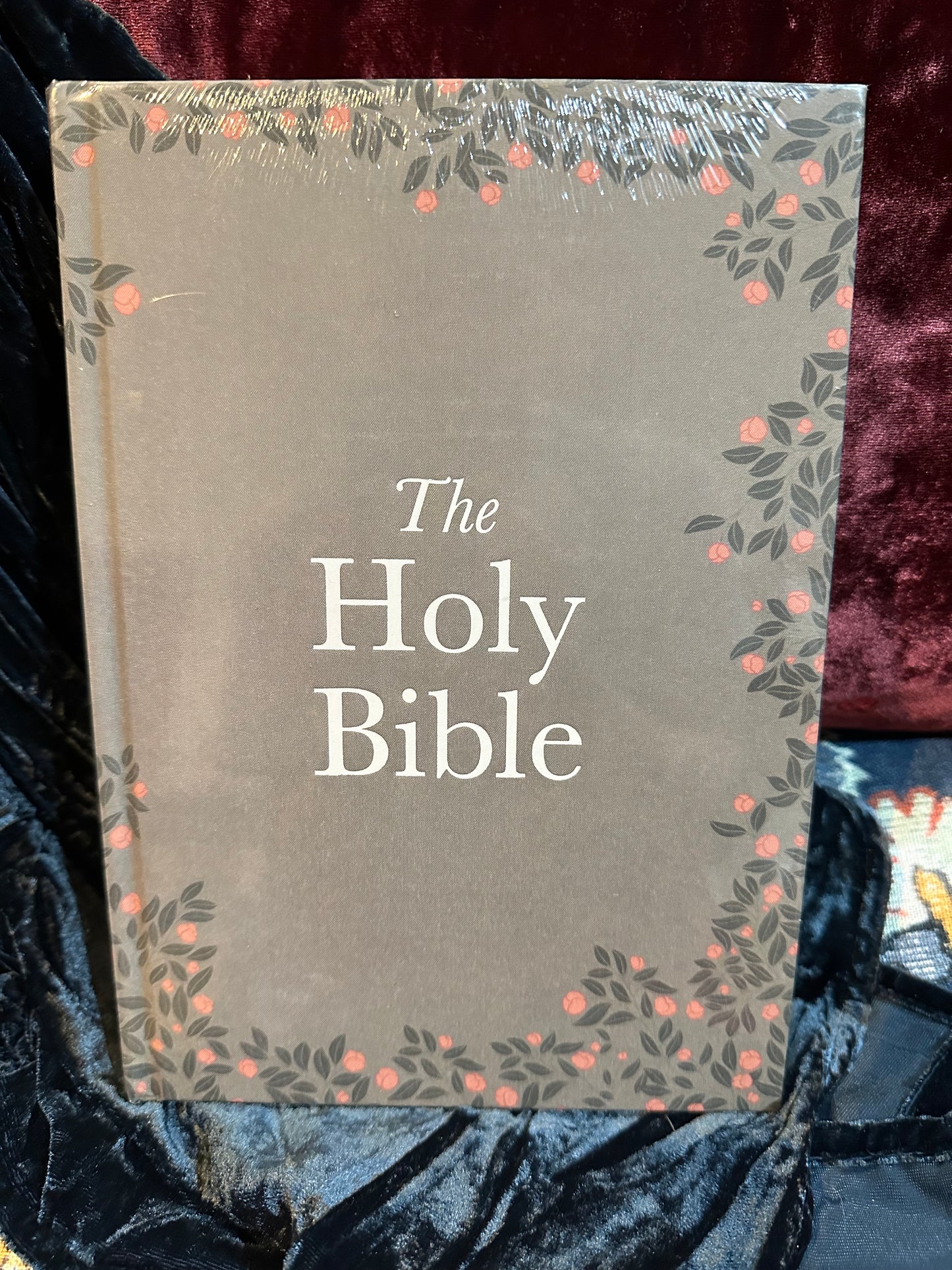 Study Bible