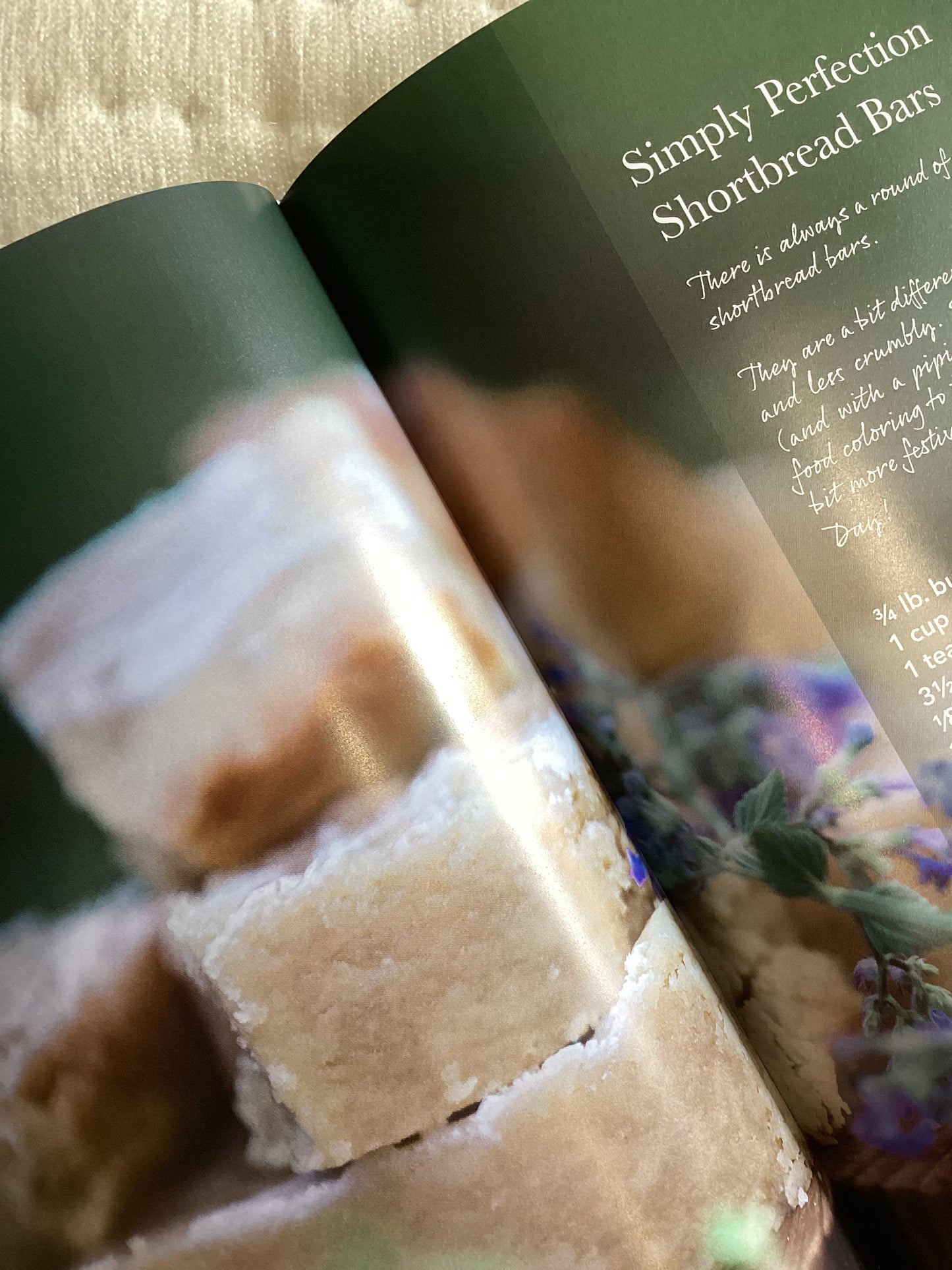 Hungry for Home Book