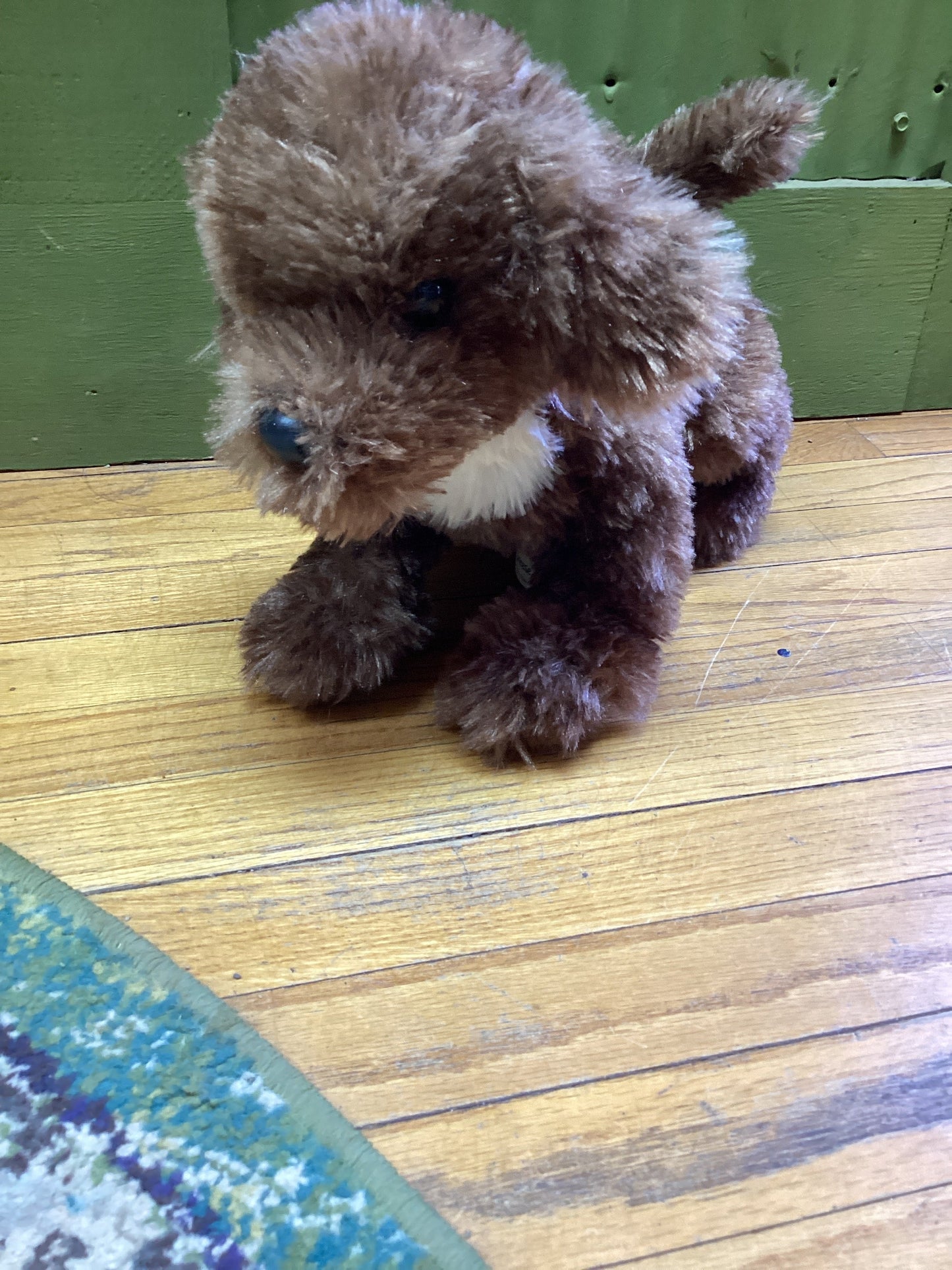 Stuffed Animals